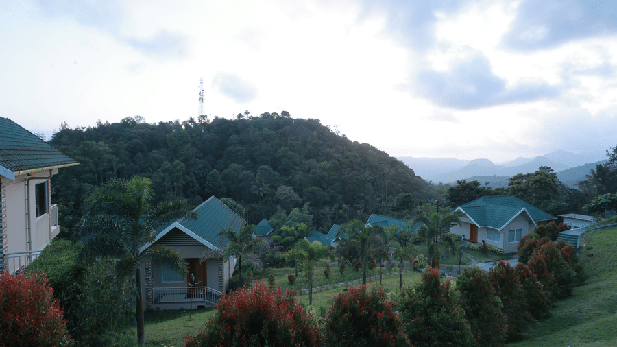 Full view of the lush green lawn area with neatly trimmed bushes growing on the lawn in a line at Aveda Mountains and Mist Resort and Spa, Munnar.