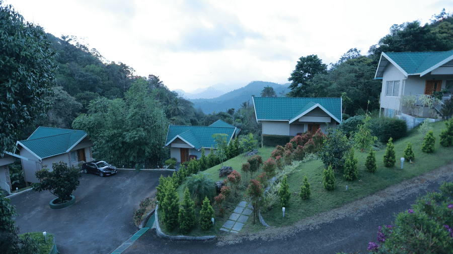 A curvy road going uphill lined by small green bushes at Aveda Mountains and Mist Resort and Spa, Munnar.