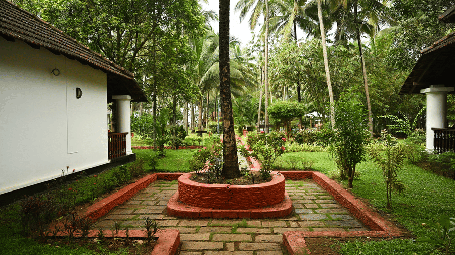 A view of a walkway with a coconut tree in the centre with a platform around it at Ayur On The Beach Nattika.