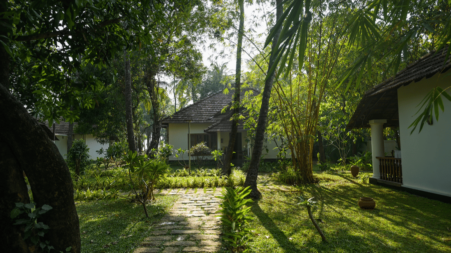 A sun-drenched stone path winding through the dense tropical greenery and palm trees at Ayur On The Beach Nattika.