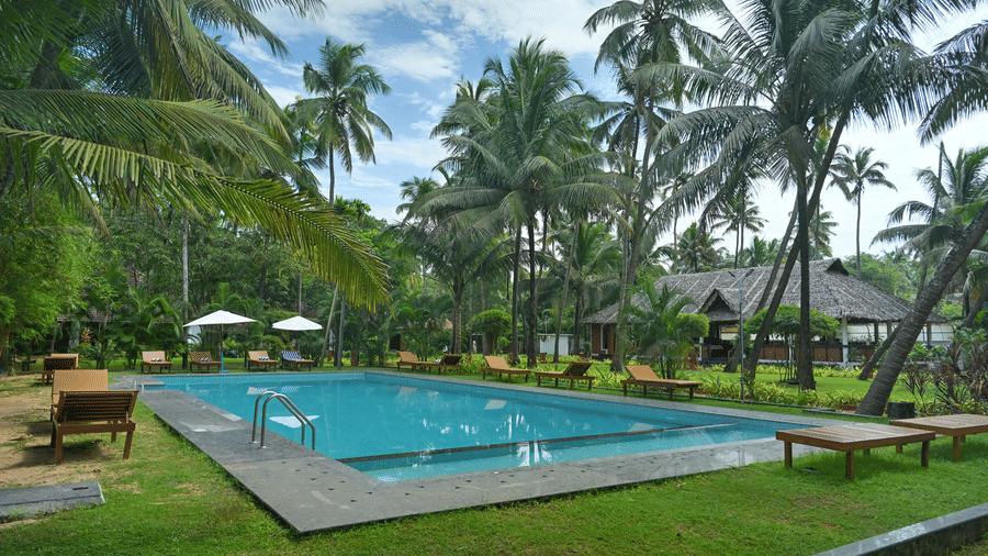 A view of the swimming pool with coconut trees, loungers and a manicured lawn nearby at Ayur On The Beach Nattika.