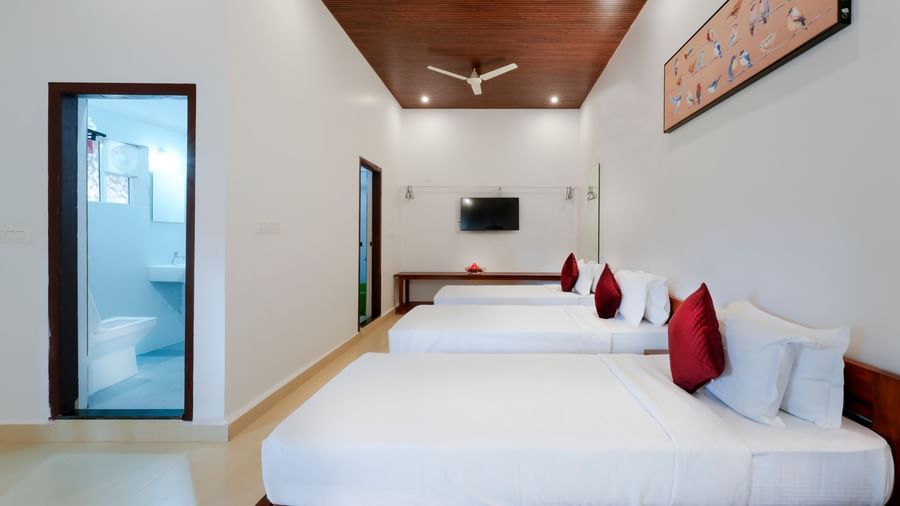 A wide-angle view of the hall of residences at Bhuthanakadu Retreat, featuring four single beds, each with a red pillow, and a bright, minimalist interior with a high wooden ceiling.