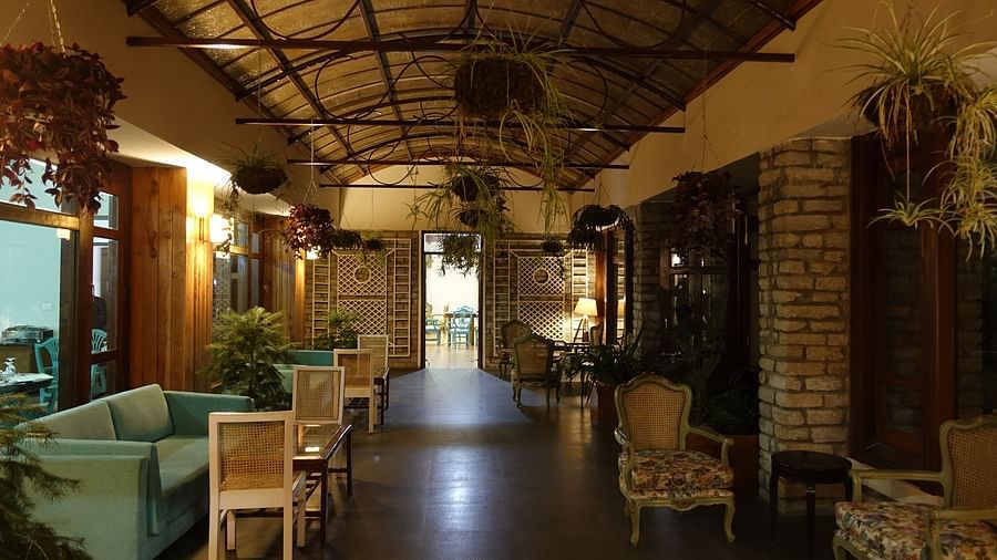 A cosy lounge with teal sofas, chairs and plants hung from the ceiling - BluSalzz Escapade - Anant Rasa Resort