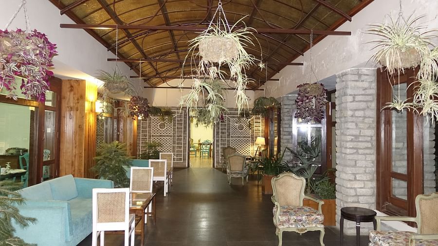 A brightly-lit lounge with teal sofas, chairs and plants hung from the ceiling - BluSalzz Escapade - Anant Rasa Resort