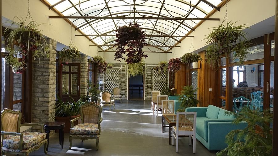 An image of our lounge with upholstered chairs, sofas and plants hung from the ceiling - BluSalzz Escapade - Anant Rasa Resort