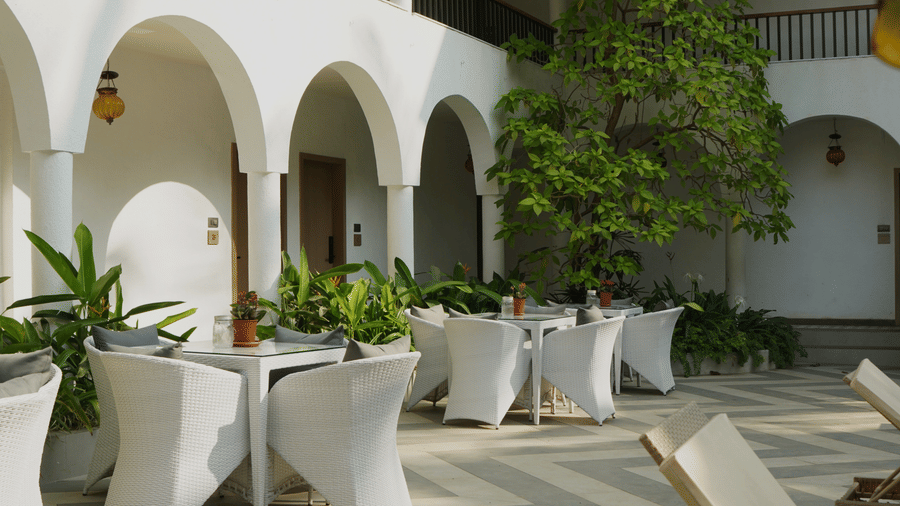 Multiple dining arrangements with tables, woven chairs, a large leafy tree at Bougainvillea, Alibaug.