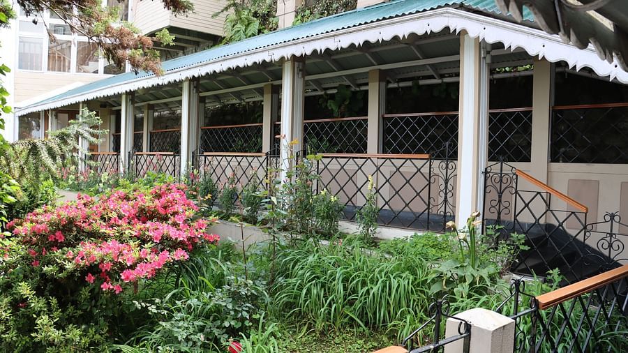 Verandah-style walkway surrounded by flowers at Cedar Inn