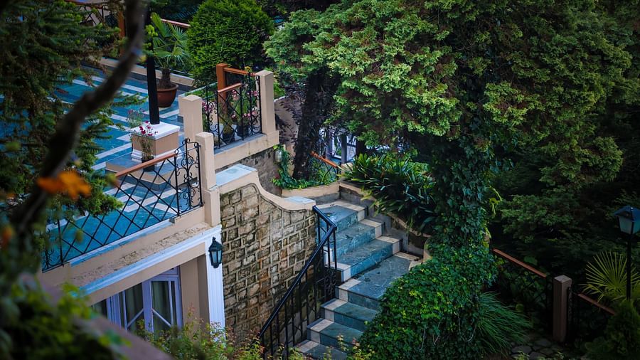 Stone pathway and stairway nestled in greenery at Cedar Inn