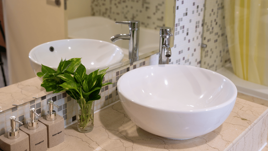 Bathroom vanity with two vessel sinks, toiletries, and decorative plant.