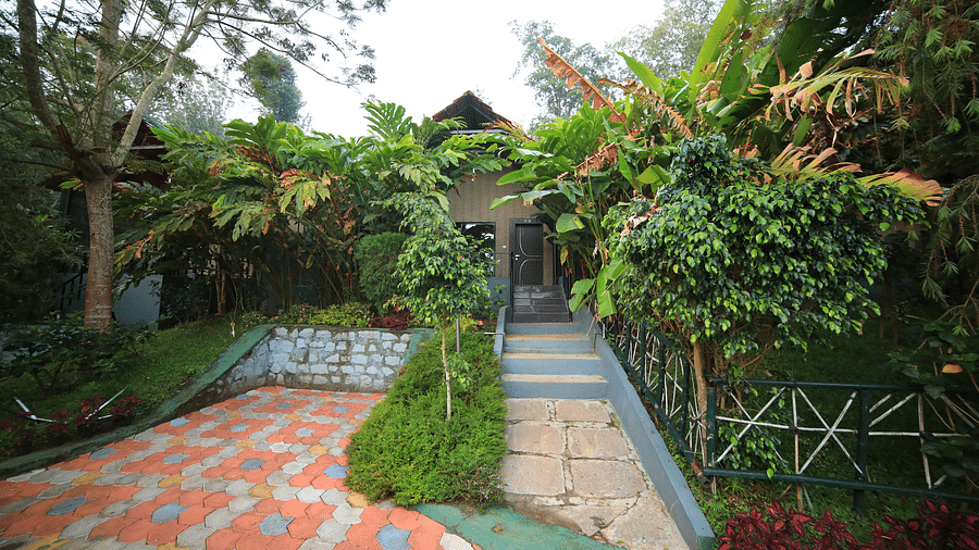 Facade of an accommodation surrounded by plants at Coorg Jungle Camp Backwater Resort, Kushalnagar.