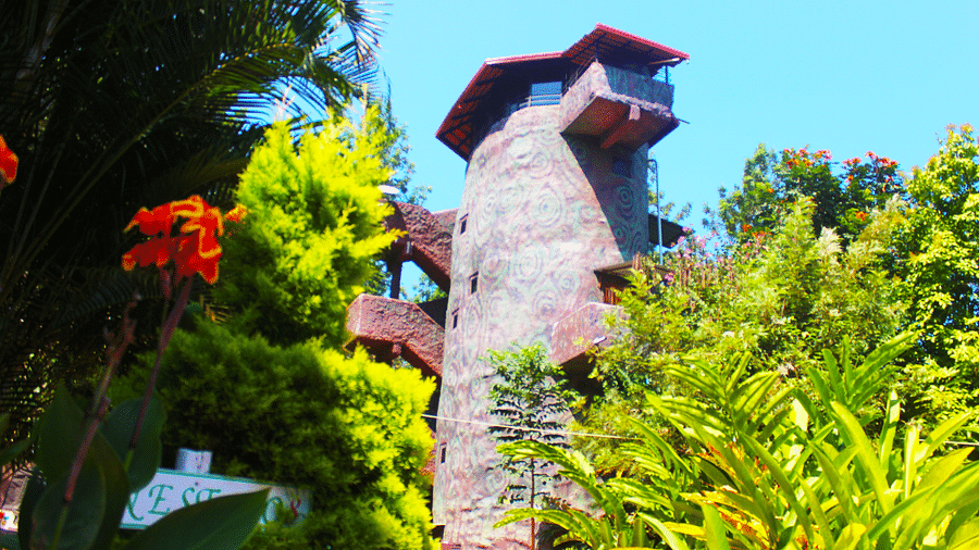 Image of the facade of an accommodation surrounded by trees at Coorg Jungle Camp Backwater Resort, Kushalnagar.