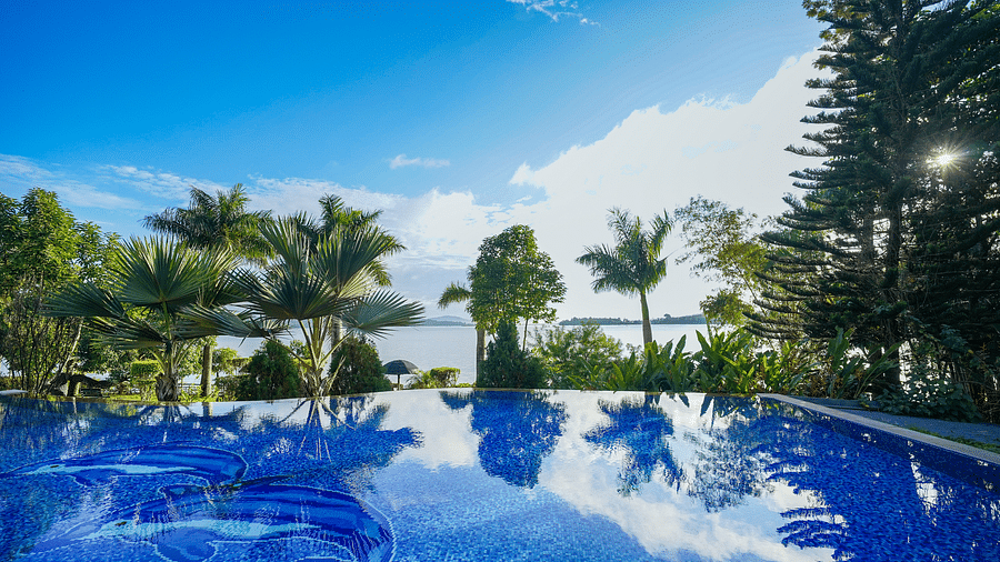 Image of a swimming pool with trees in the background at Coorg Jungle Camp.