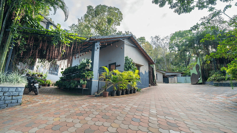 Image of a facade with an open area and with plants on the side at Coorg Jungle Camp.