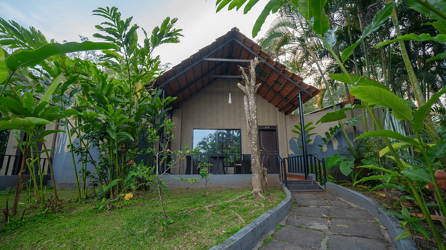 Facade of an accommodation with a pathway leading to it and plants on the side at Coorg Jungle Camp.