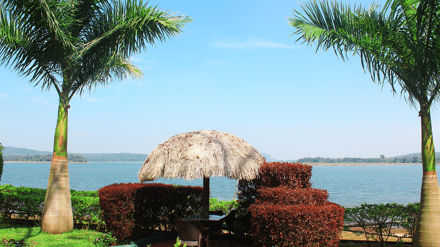 Image of two trees with a waterbody in the background at Coorg Jungle Camp.