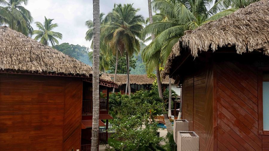 A view of the resort featuring wooden bungalows with thatched roofs nestled among lush palm trees - Coral Reef Resort & Spa, Havelock