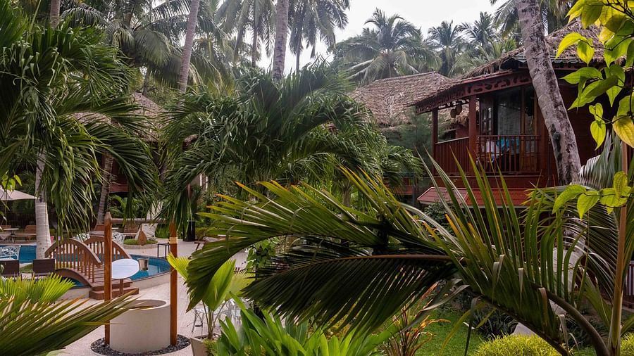 A view of a lush garden area at Coral Reef Resort and Spa in Havelock surrounding a pool, with palm trees and vibrant plants framing the space. The outdoor area is peaceful, creating a perfect environment for relaxation - Coral Reef Resort & Spa, Havelock