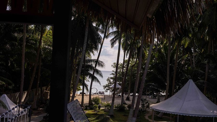  A wooden building with a red roof, featuring a front porch with tropical plants. The natural surroundings add to the rustic charm of the setting - Coral Reef Resort & Spa, Havelock