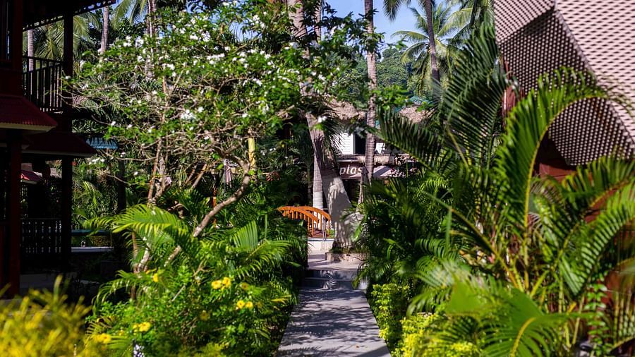 A tranquil path surrounded by lush greenery, leading to the resort's buildings. The natural vegetation creates a calm and inviting atmosphere - Coral Reef Resort & Spa, Havelock
