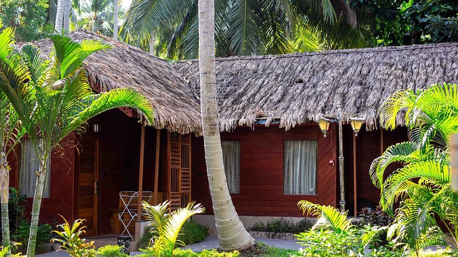 A thatched roof cottage surrounded by tropical vegetation. The cottage blends seamlessly into its surroundings, offering a peaceful retreat in the heart of nature - Coral Reef Resort & Spa, Havelock