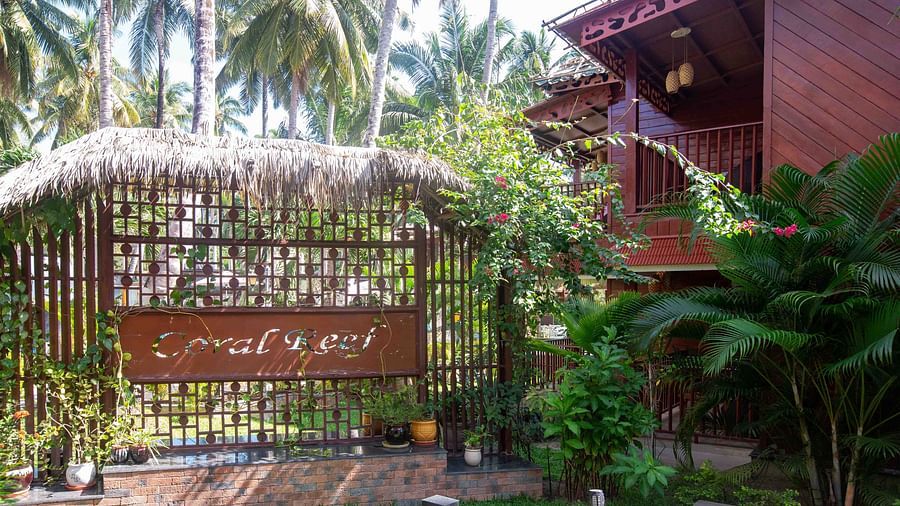 A close-up view of the resort’s garden area, with lush greenery and palm trees framing the space. The tropical surroundings add to the peaceful atmosphere - Coral Reef Resort & Spa, Havelock