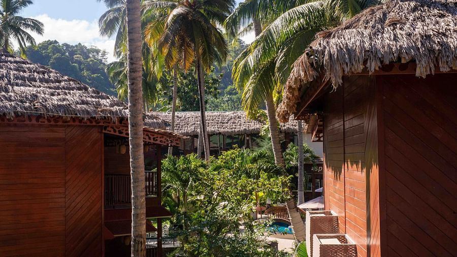 A view of a thatched roof bungalow surrounded by tropical vegetation. The setting feels private and serene, offering a tranquil retreat - Coral Reef Resort & Spa, Havelock