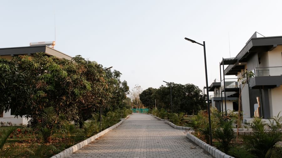 The clean, straight and broad walkway lined by trees and plants, with a tall streelight and one of the buildings of Daksh Eden Greenz, Sasan Gir.