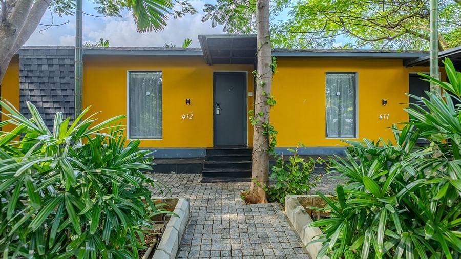 facade image of the premium room with a yellow coloured exterior surrounded by green plants - Darza Resorts