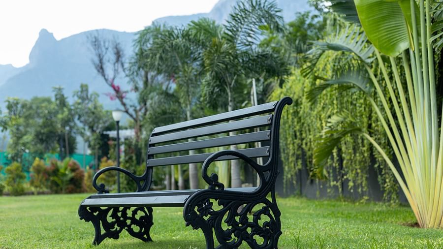 image of a beautiful outdoor bench kept in a lush green lawn with the mountains in the background - Darza Resorts