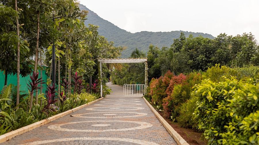 image of a stone pathway along side tall green bushes on a bright day - Darza Resorts