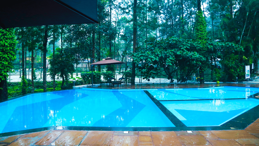 The swimming pool at DNC Shevaroys Resort & Spa seen from a shaded patio area, reflecting the surrounding forest trees.