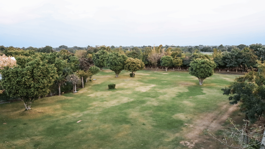 High-angle view of a large, green rectangular lawn surrounded by dense trees and shrubs at Estherea Resort & Spa, Jaipur under a clear sky.
