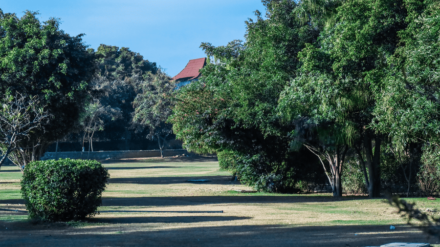 A pathway of short grass at Estherea Resort & Spa, Jaipur enclosed by thick clusters of trees and manicured bushes on both sides.