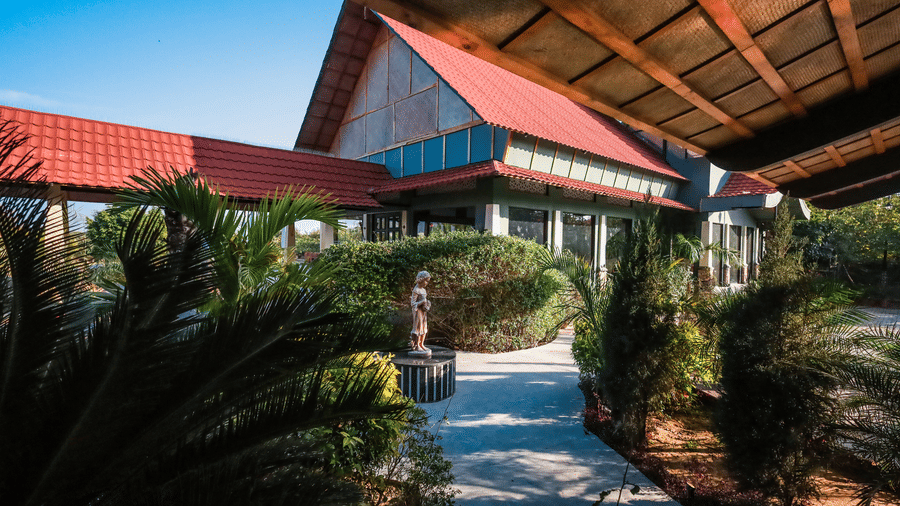 Paved garden path leading toward the red-roofed lobby building of Estherea Resort & Spa, Jaipur, surrounded by shrubs and trees.