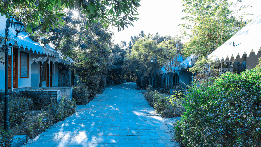 A paved stone pathway at Estherea Resort & Spa, Jaipur lined with dense green bushes and trees leading through the resort grounds.