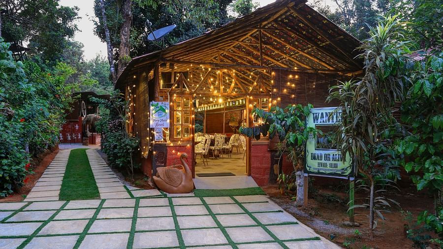 Twilight view of a rustic restaurant decorated with string lights and surrounded by lush greenery - Evergreen County