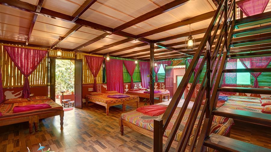 A view of the rooms in wooden cottage rooms with beds covered in colourful bed sheets and a ladder leading to the attic - Evergreen County