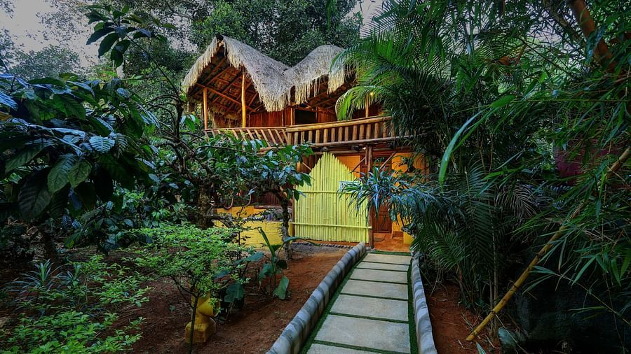 A facade image of the Family Wooden Cottage with a stone pathway leading to the cottage and covered in greenery - Evergreen County