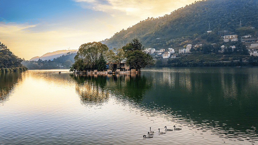 A wide-angle view of Bhimtal Lake with a serene mountain backdrop and ducks peacefully swimming in the calm waters.
