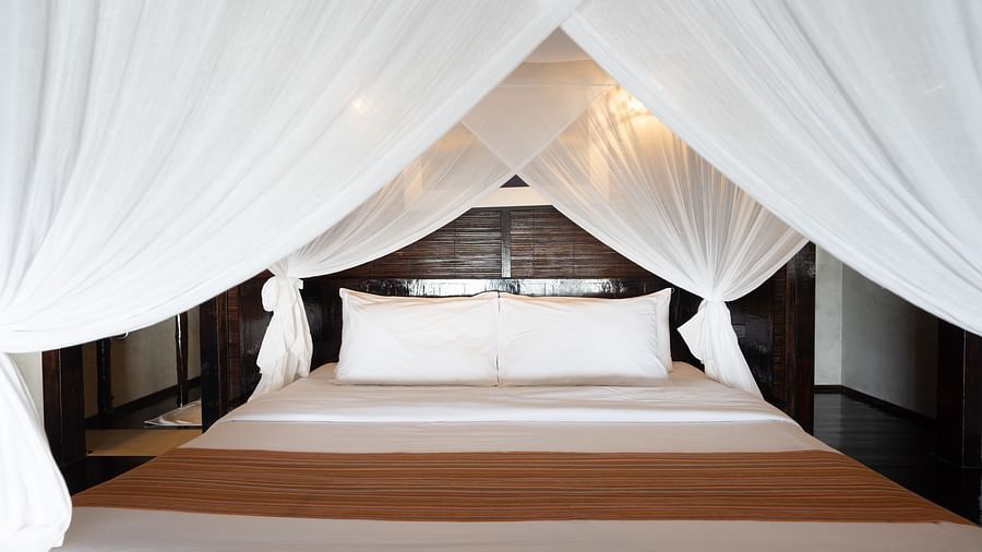 Deluxe Beach Villa 5