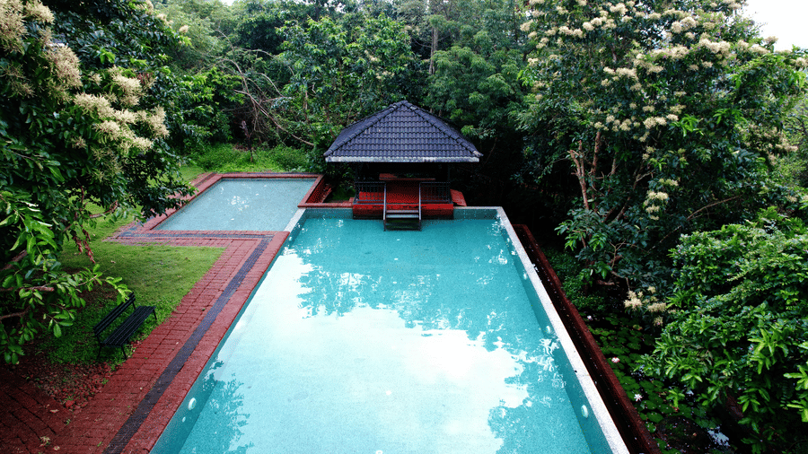 An elevated perspective from Forest Escape captures the resort's swimming pool in Koyna and the surrounding landscape.
