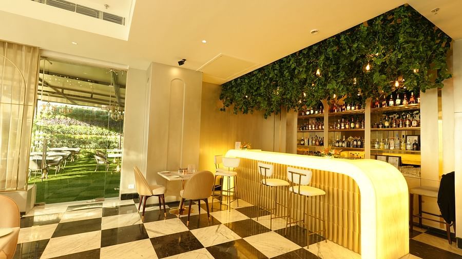 Contemporary bar with overhead greenery and chic counter seating - Grand Plaza Lords Inn Jammu