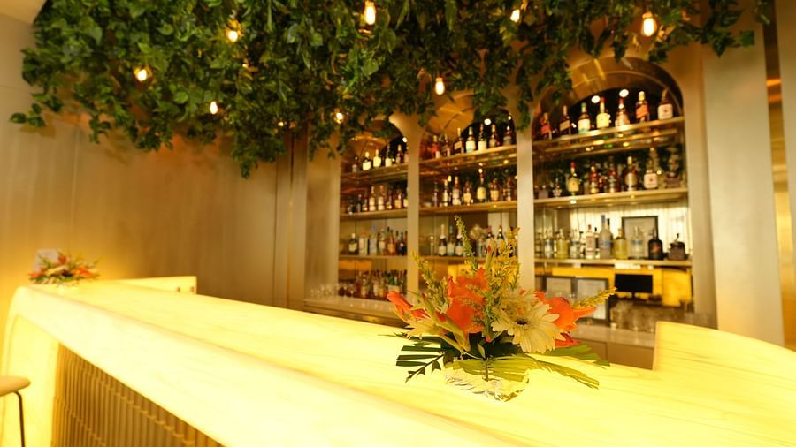 Bar setup with hanging greenery and a floral arrangement on the counter - Grand Plaza Lords Inn Jammu