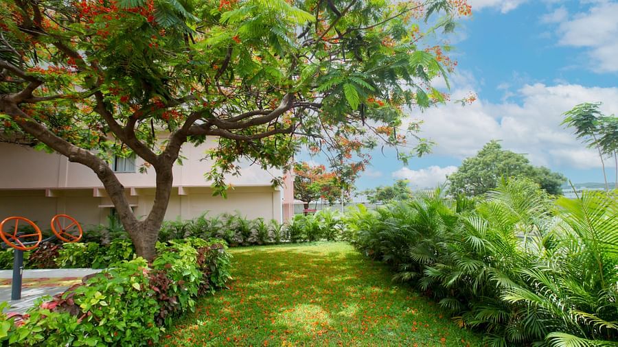 A well-carpeted lawn, featuring trees and shrubs at Greens Inn - Lush Hotel Grounds in Hyderabad.