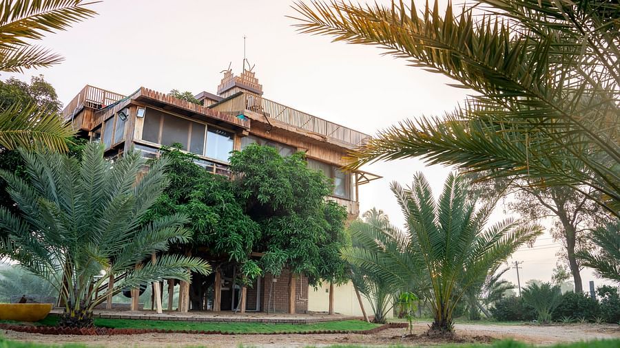 Facade of a tree house that is surrounded by greenery | Habba Dates Villa, Hampasandra