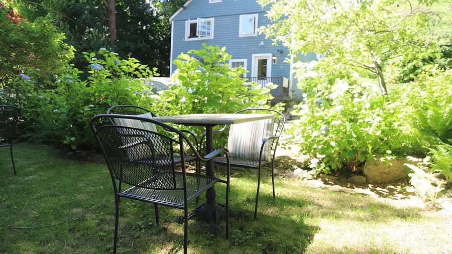 A garden setting with a black metal patio table and chairs on a grassy lawn, surrounded by lush green plants and hydrangeas, with a blue-gray house in the background at Hartstone Inn