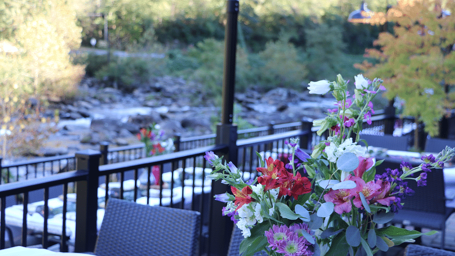 a close up image of the flowers on the vase kept on the dining table and the beautiful Cheoah river gushing in the background - Historic Tapoco Lodge