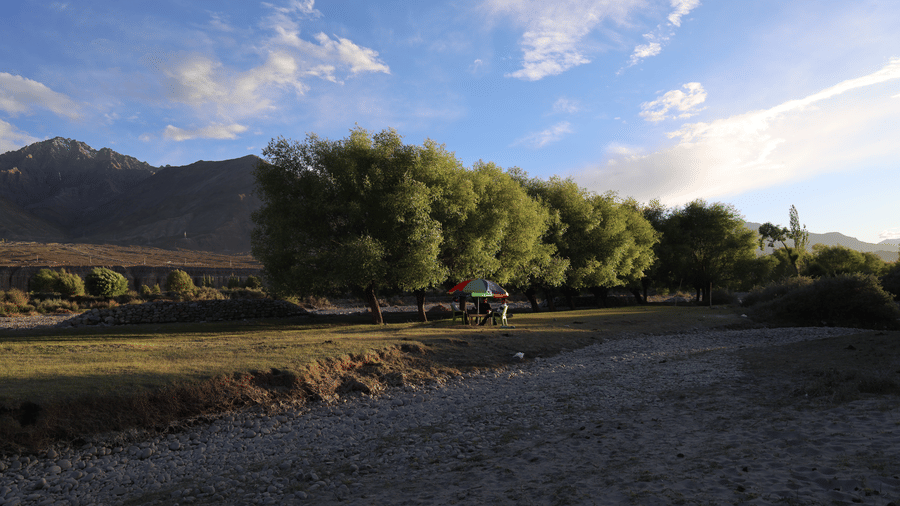 An outdoor seating with plants, trees, and an umbrella covering the guests sitting under the sunlight. | Indus Serinity, Leh Ladakh