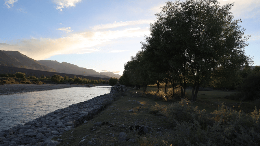 A waterbody with thick forest on the either side at sunset.