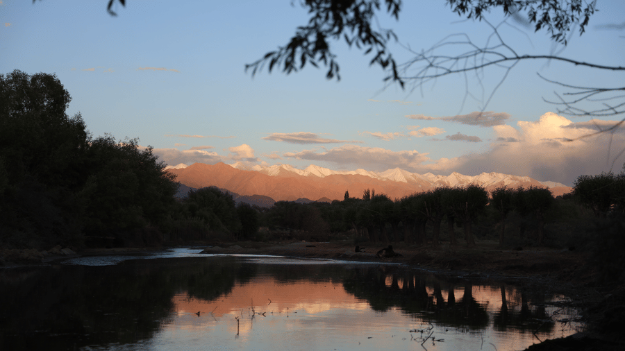 A waterbody with plants at night.